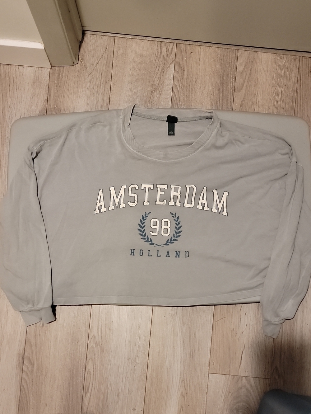 ⭐️ AMSTERDAM 98 CROPPED SLATE BLUE CROPPED LONGSLEEVE- WILD FABLE Vint